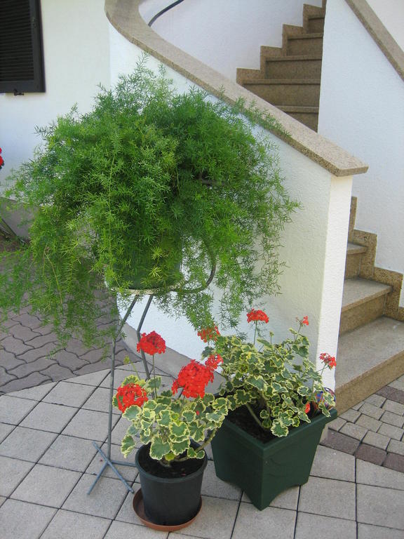 Appartement Weissbacher Lofer Zewnętrze zdjęcie